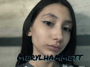 merylhammett Sexties