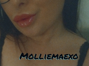 Molliemaexo