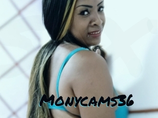 Monycams36