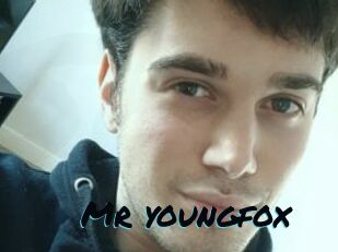 Mr_youngfox