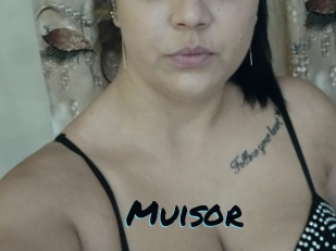 Muisor