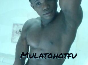 Mulatohotfu