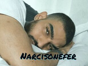 Narcisonefer