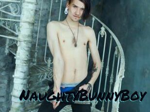 NaughtyBunnyBoy