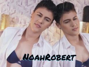 NoahRobert