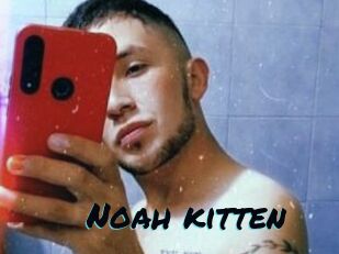 Noah_kitten