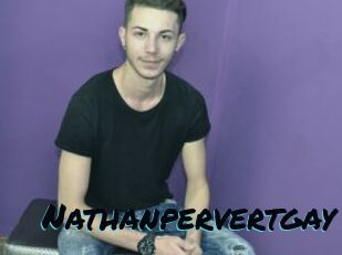Nathanpervertgay