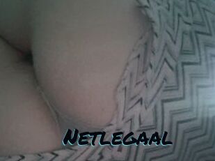 Netlegaal