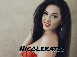 nicolekatee Sexties