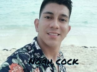 noah_cock Sexties