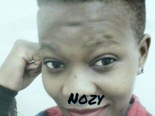 Nozy