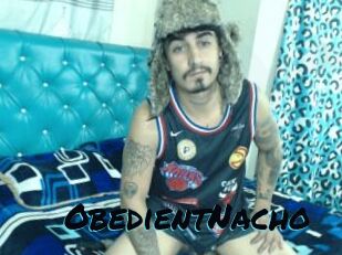 ObedientNacho