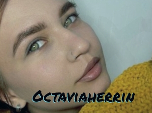 Octaviaherrin