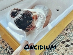 oncidium Sexties
