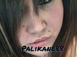 Palikane88