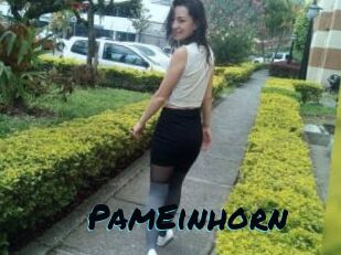 PamEinhorn