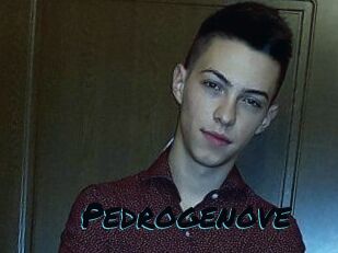 Pedrogenove
