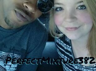 PerfectMixture3828