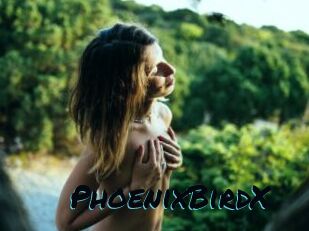 PhoenixBirdX Sexties