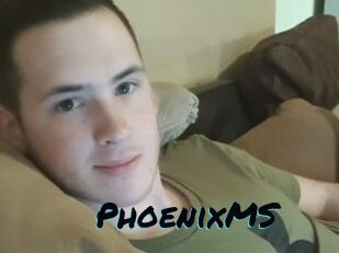 PhoenixMS