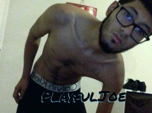 PlayfulJoe