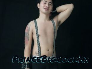 PrinceBigCockXx