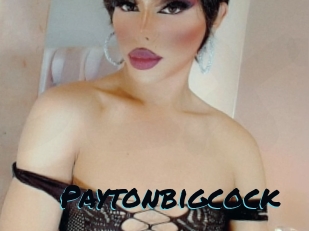Paytonbigcock