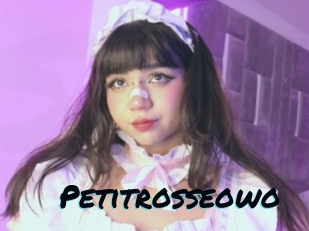 Petitrosseowo