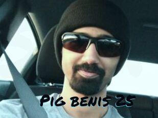 Pig_benis_25