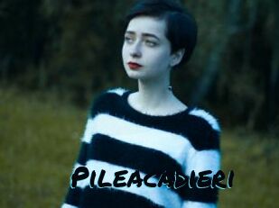 Pileacadieri