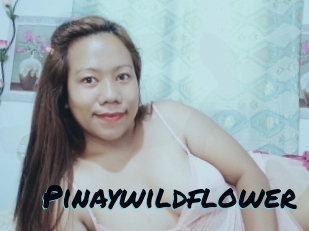 Pinaywildflower