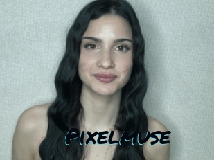 Pixelmuse