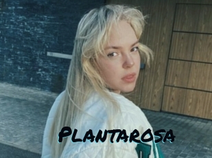 Plantarosa