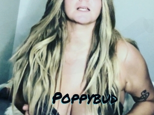 Poppybud