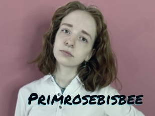 primrosebisbee Sexties