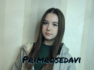 Primrosedavi