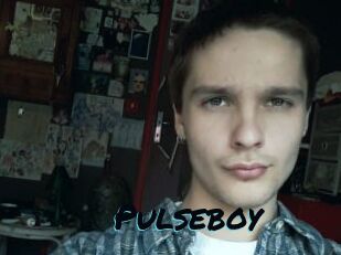 Pulseboy