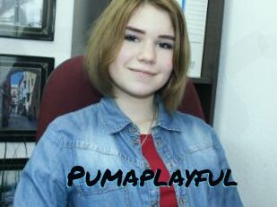Pumaplayful