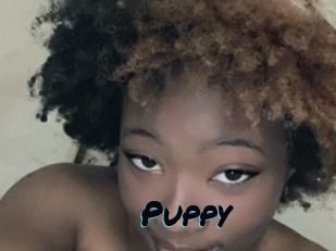 Puppy
