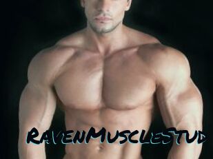 RavenMuscleStud