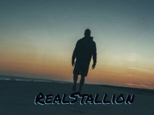 RealStallion