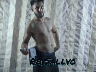 ReySallvo
