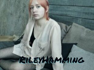 RileyHamming