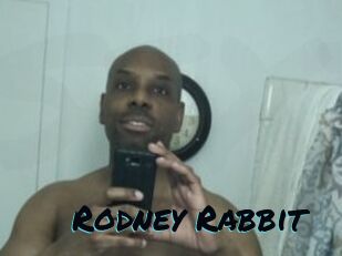 Rodney_Rabbit