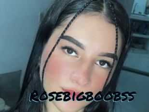 Rosebigboobss