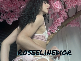 roseelinedior Sexties