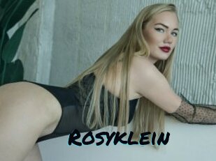 rosyklein Sexties