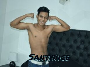 Santynice
