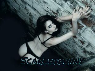 Scarletbunny