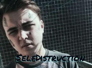 SelfDistruction